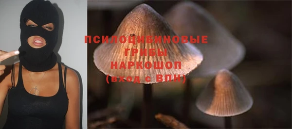 2c-b Михайлов