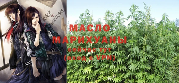 хмурый Ладушкин