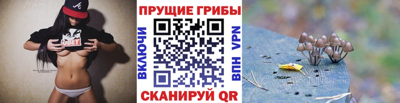 Галлюциногенные грибы мицелий  Сунжа 