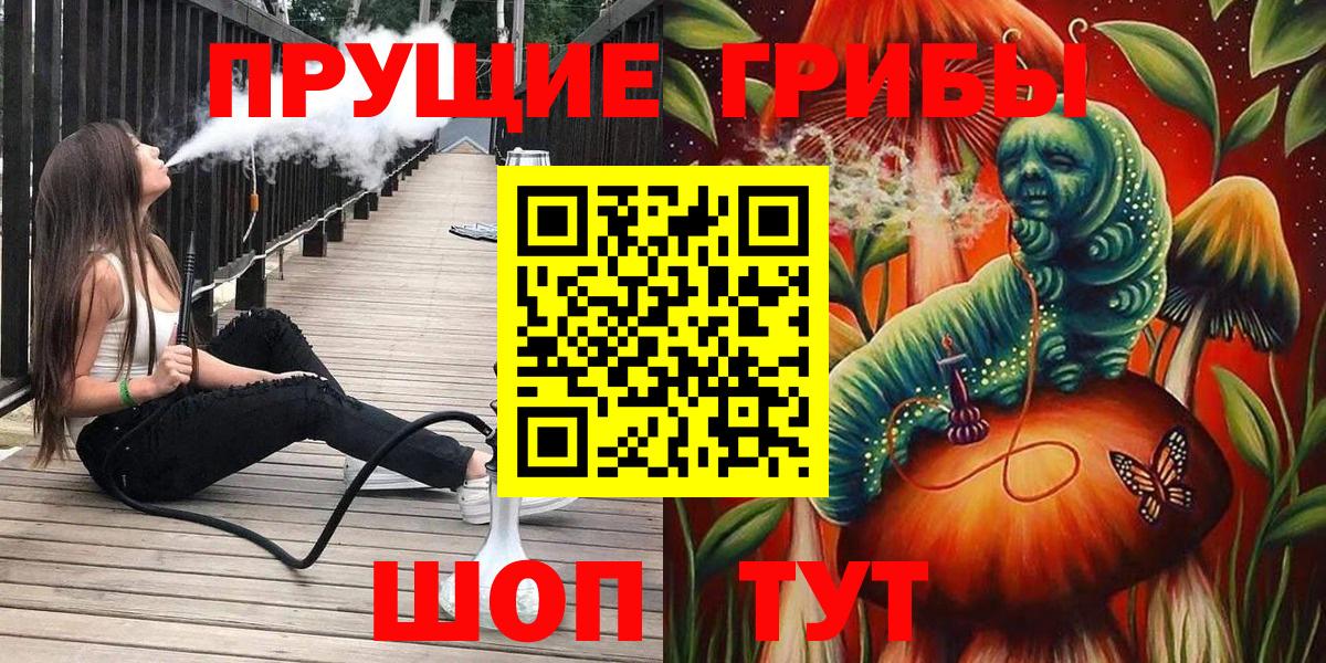 Псилоцибиновые грибы мухоморы  Галлюциногенные грибы Psilocybe  купить наркотики цена  Сунжа 