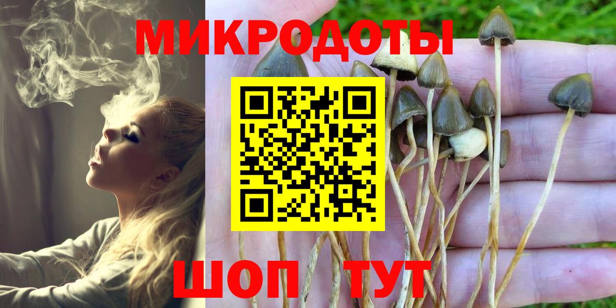 Галлюциногенные грибы GOLDEN TEACHER  Вход с VPN  наркотики  Сунжа 